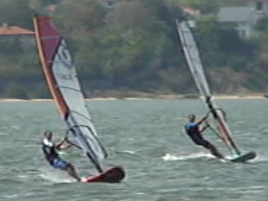 sunfish1 wikend la windsurfing