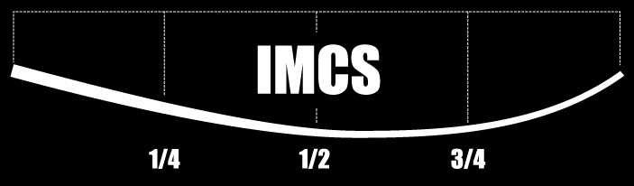 image_imcs